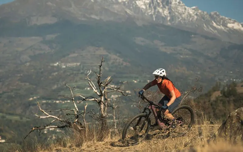 vtt scott contessa
